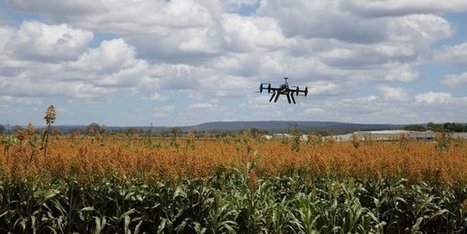 Les chiffres de l&rsquo;agriculture en France en 2017
