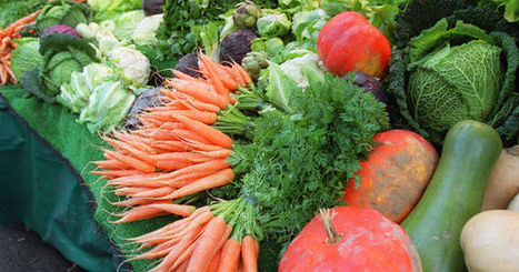 Les fruits et légumes bio, plus riches en antioxydants?