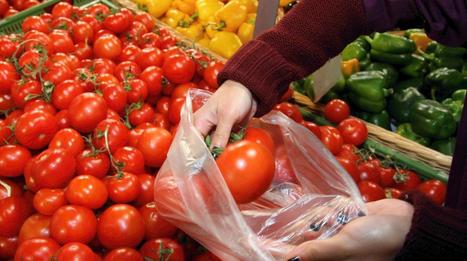 Les sacs plastiques hors course dès le 1er janvier 2016