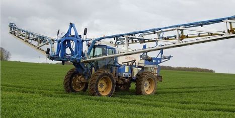Marche blanche contre les pesticides à Bordeaux : les chiffres qui font peur