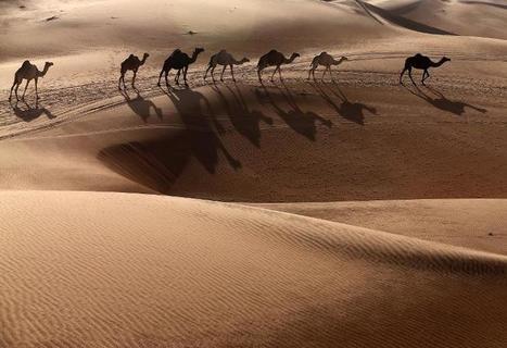 Mars 2015 a été le mois de mars le plus chaud dans les annales