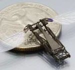Maya le drone-abeille pollinisateur qui remplace(ra) les abeilles?