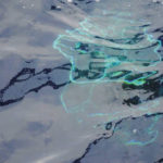 Microbes et déversements de pétrole