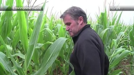Monsanto: la victoire de David contre Goliath 10/09/15