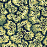 Nouvelle alerte sur les dangers des nanomatériaux