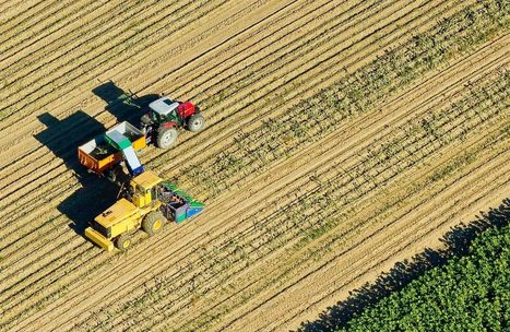 «On a une vision fantasmée de la ferme familiale»
