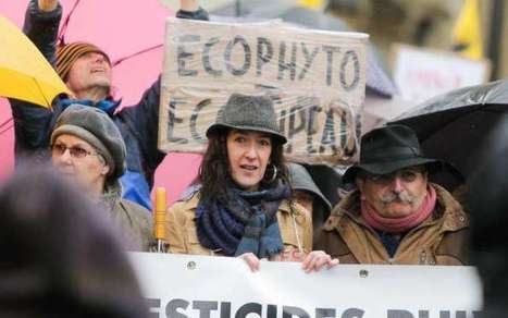 Paul François, le céréalier charentais, terrasse Monsanto