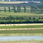 Pesticides et phyto passent sous la loupe de l&rsquo;Agence de sécurité sanitaire