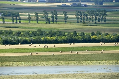 Pesticides et phyto passent sous la loupe de l&rsquo;Agence de sécurité sanitaire