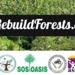 PETITION  : REVERDIR LES DÉSERTS | Construisons la Grande Muraille Verte.