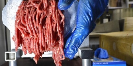 Produits premiers prix: souvent ce n&rsquo;est pas « de la viande au sens de la réglementation européenne »