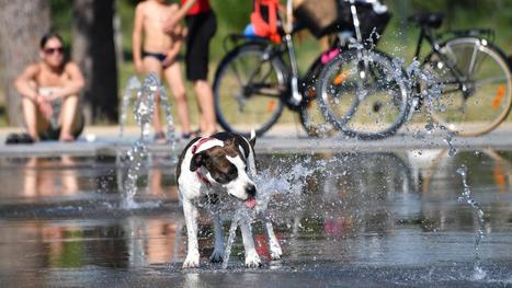 Réchauffement climatique : encore un pic de chaleur attendu sur la France dès dimanche