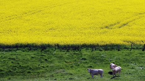 Reportage : Soigneurs de terres