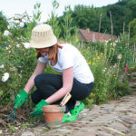 Retrait de la vente en libre-service des pesticides : les jardineries se mobilisent