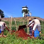 Salvador : des récoltes records depuis l&rsquo;abandon du Roundup de Monsanto