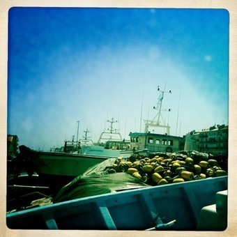 Surpêche : les poissons pourraient disparaître d’ici 2035