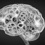 This One Equation May Be the Root of Intelligence