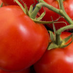 Un carton d’emballage fabriqué avec des tomates