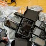 Un « super champignon » pour recycler les batteries usagées ?