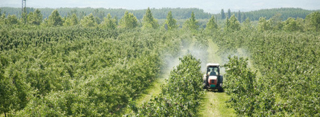 Victimes des pesticides : un projet de loi ébauche le futur fonds d&rsquo;indemnisation