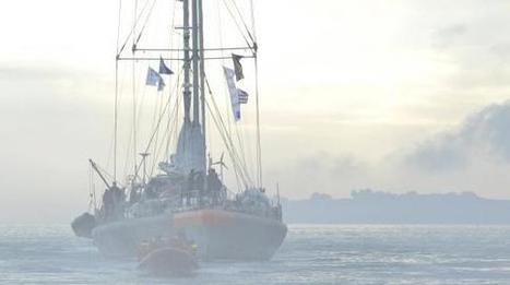 VIDEO. Le voilier Tara est de retour avec des résultats inquiétants