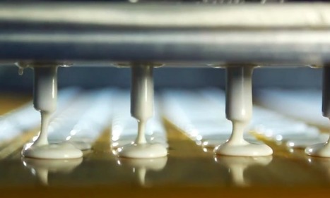 « Vous êtes fous d&rsquo;avaler ça », les révélations d&rsquo;un ancien responsable de l&rsquo;agroalimentaire