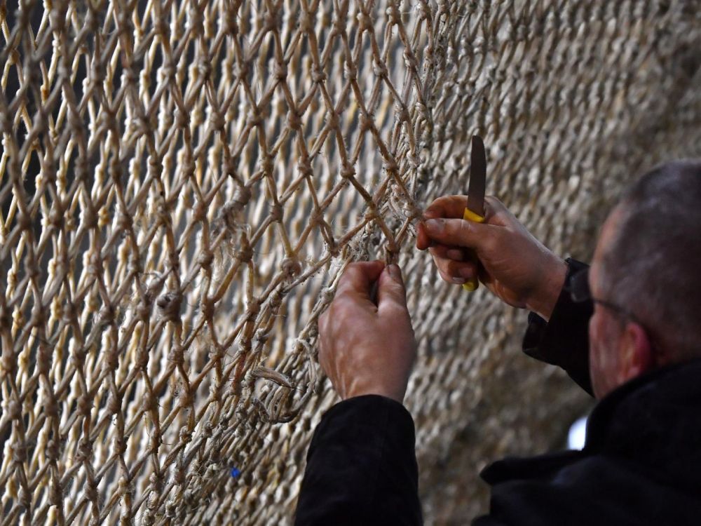 La pêche électrique désormais interdite dans les eaux françaises