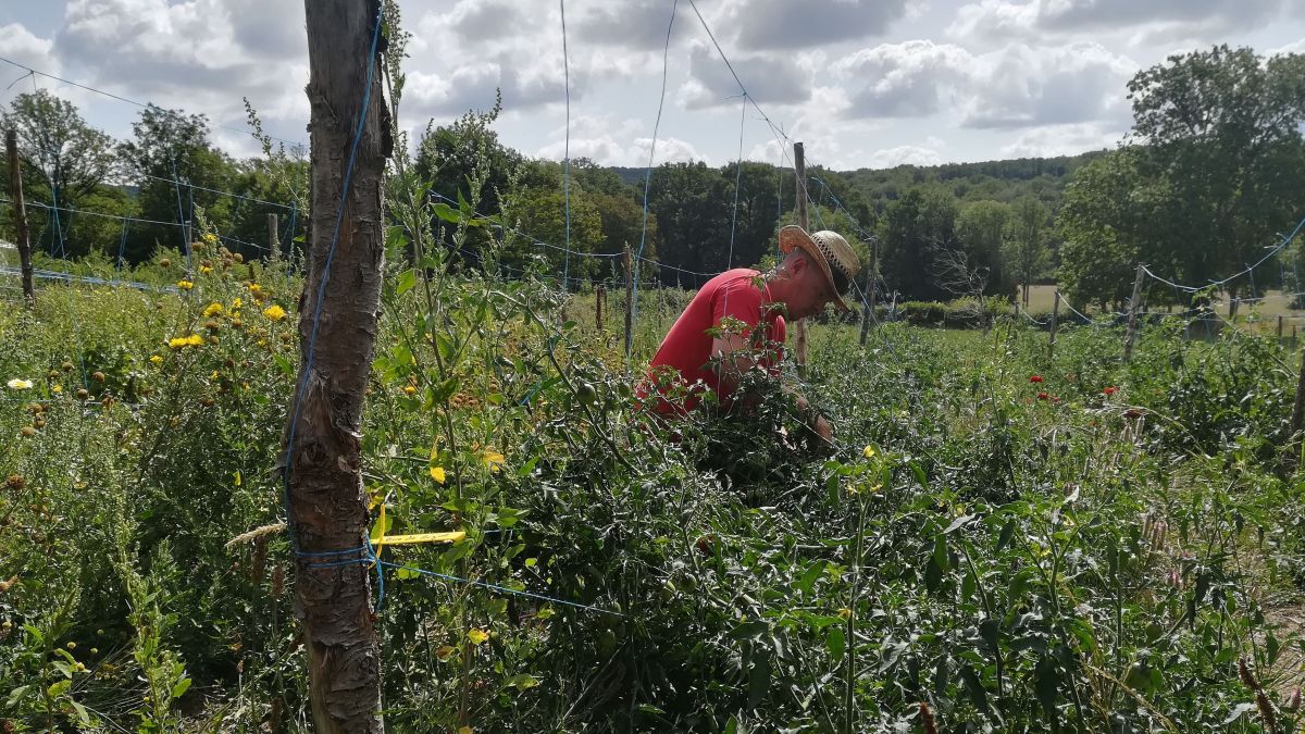 Sécheresse dans la Creuse : jardiner avec moins d’eau, c’est possible