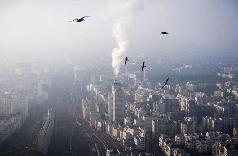 Climat : 66 pays adhèrent à l’objectif de neutralité carbone en 2050