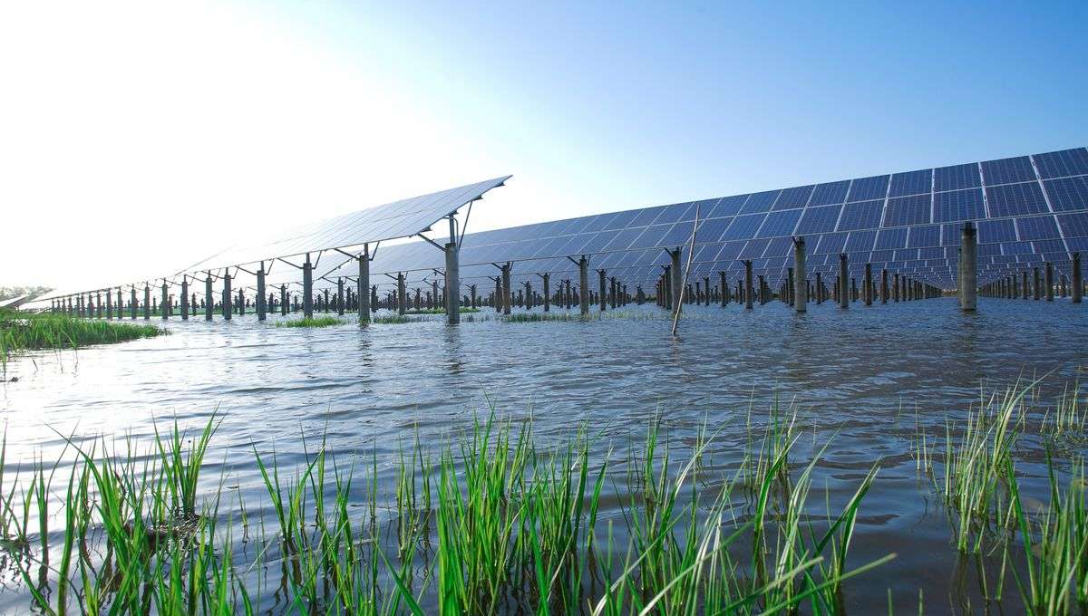 David Marchal : « Le photovoltaïque, une des nouvelles formes d&rsquo;électricité les moins chères à produire »