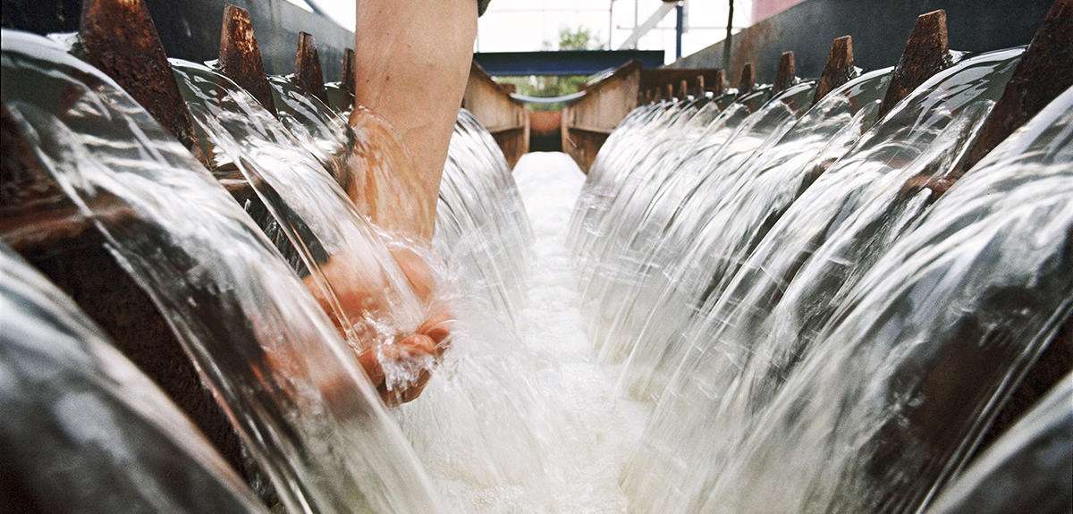 Des solutions pour une eau plus propre