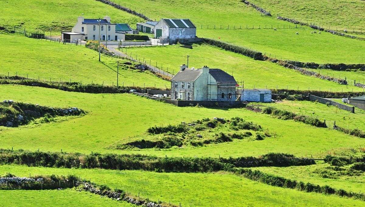 Irlande : un réseau de fermes pour les personnes en situation d&rsquo;exclusion