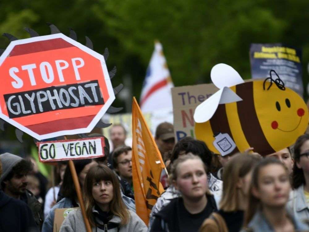 L&rsquo;Allemagne va bannir le glyphosate fin 2023