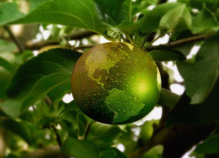 Le Conseil de l’UE propose de repousser la taxonomie verte à 2022 – Actualités Asset Management