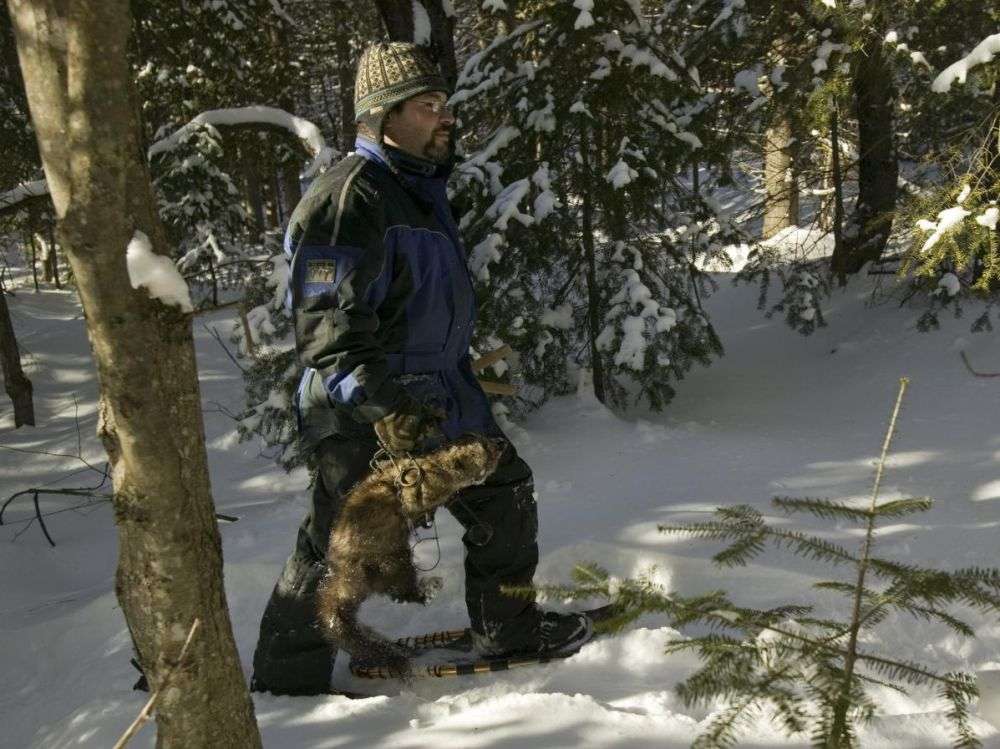 Les trappeurs sont officiellement hors-la-loi en Californie