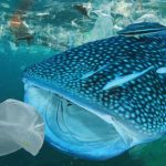 Comment cette société utilise la cartographie laser pour lutter contre les déchets marins