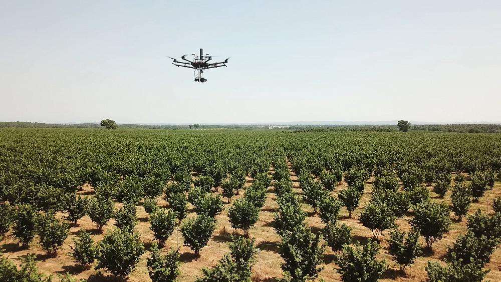 Des robots européens révolutionnent l&rsquo;agriculture