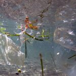 Inde : la fin du plastique à usage unique