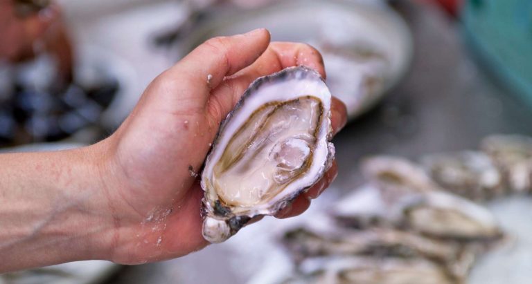 Le réchauffement climatique provoque déjà une hécatombe chez les huîtres