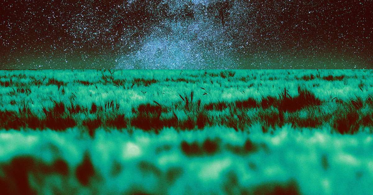 New research: You could grow crops in Martian soil