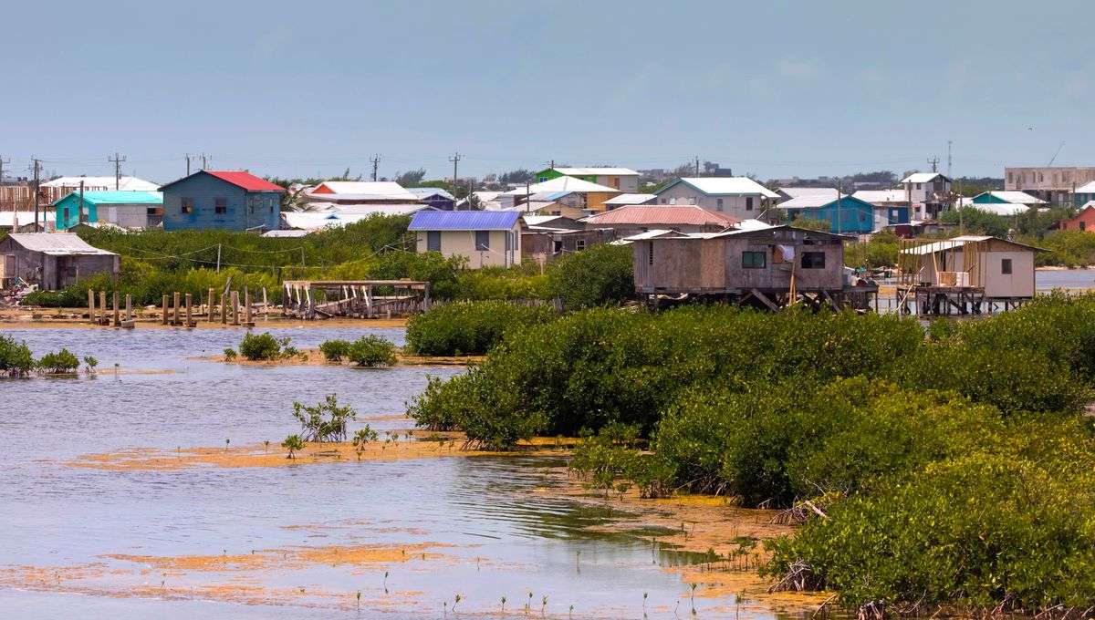 Rapport du GIEC : le niveau de la mer pourrait s&rsquo;élever de 1,1 m d&rsquo;ici 2100, avec des conséquences dramatiques