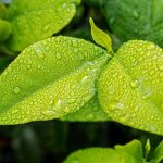 Des chercheurs ont trouvé comment transformer à grande échelle le CO2 en carburant liquide