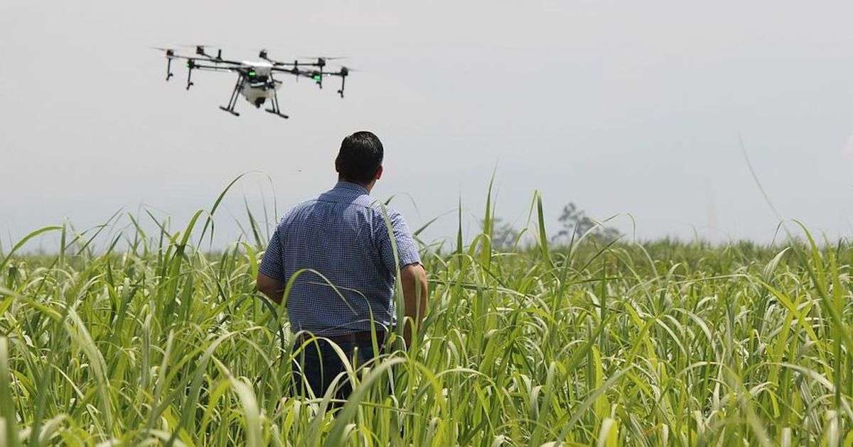 France : des drones autorisés à épandre au-dessus de nos cultures