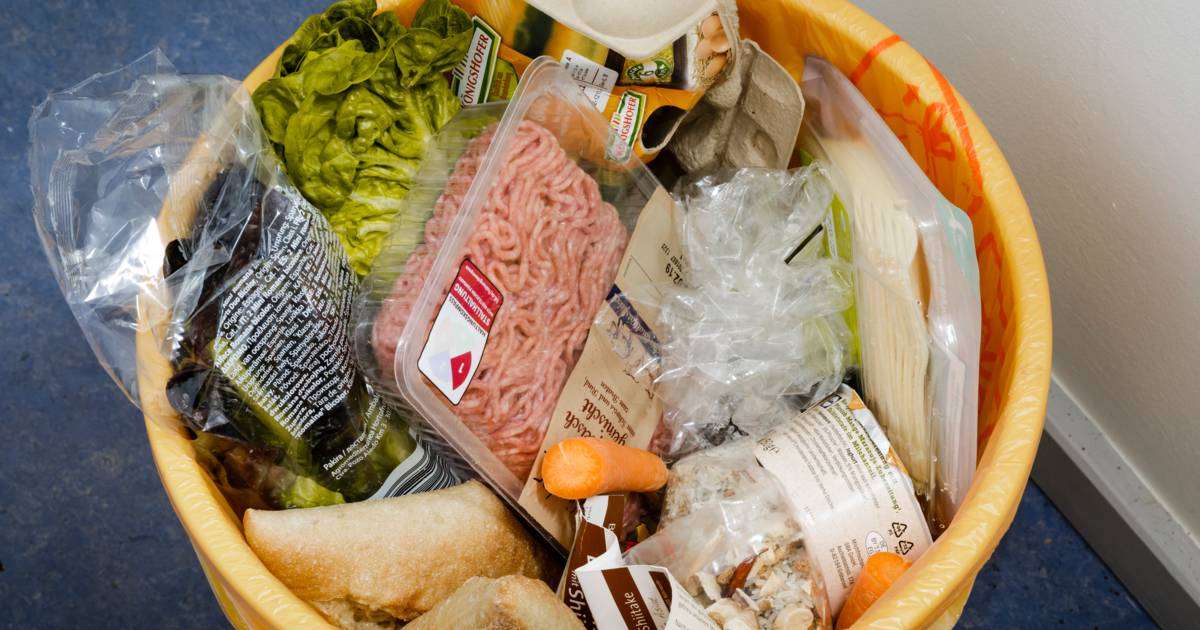 Gaspillage alimentaire : les cantines n&rsquo;auront plus le droit de détruire les aliments non périmés
