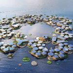 Oceanix, une ville flottante contre la montée des eaux – Divercity