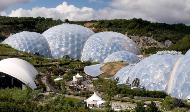 Le biomimétisme peut-il rendre l&rsquo;économie écologique ?