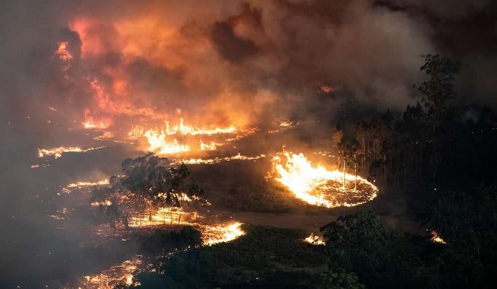 Australie : les incendies sont maintenant si importants qu&rsquo;ils génèrent un micro-climat empirant la situation