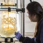 Biotechnologie : deux étudiantes transforment le plastique en matériau biodégradable