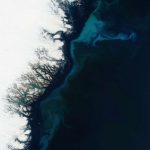 Favorable à la vie marine, l’effet fertilisant des icebergs pourrait augmenter à l’avenir