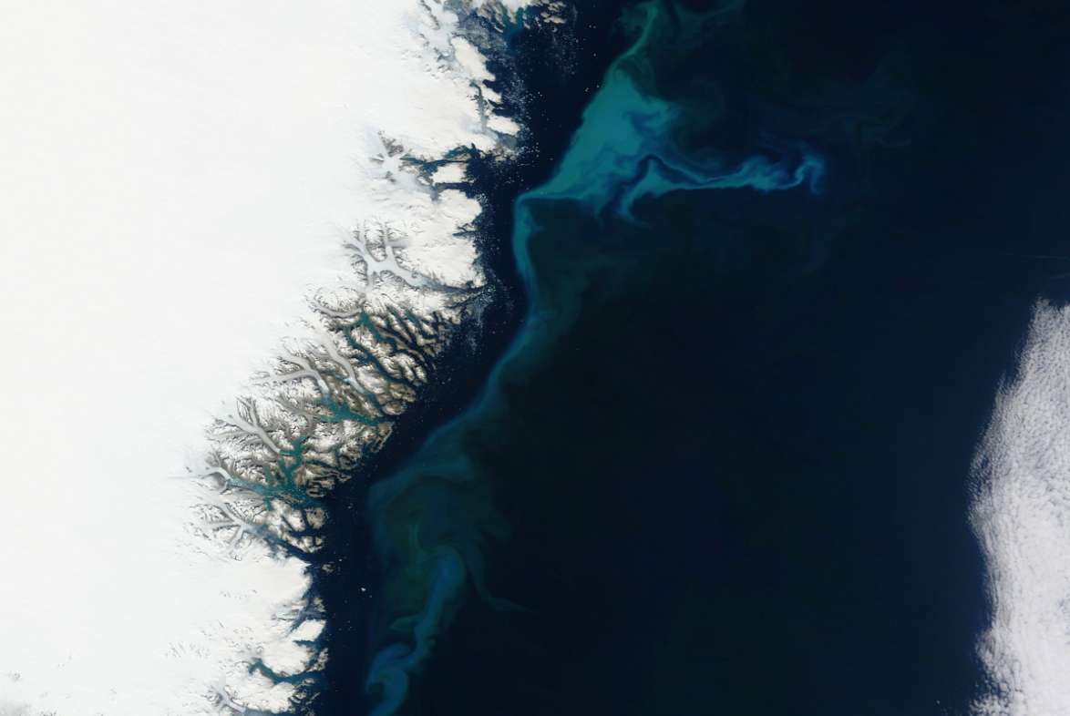 Favorable à la vie marine, l’effet fertilisant des icebergs pourrait augmenter à l’avenir